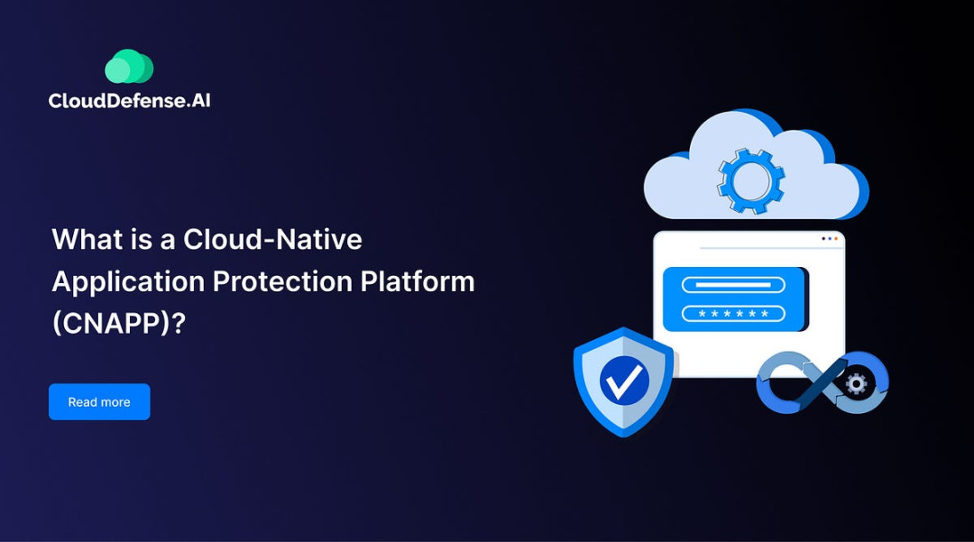 What is a Cloud-Native Application Protection Platform (CNAPP What is a Cloud-Native Application Protection Platform (CNAPP